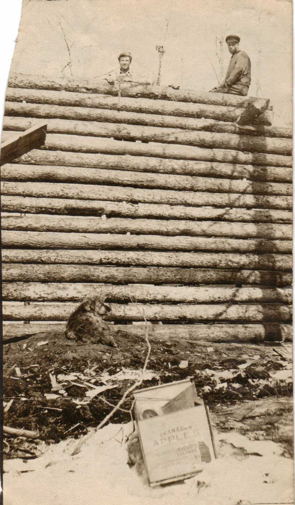 Picture of Brooks Brothers work on Log Cabin in Peace River